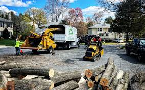 Best Commercial Tree Services  in Manistee, MI