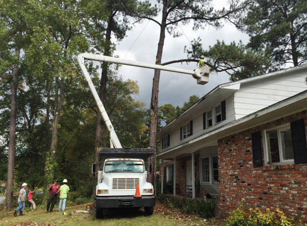 Seasonal Cleanup (Spring/Fall) in Manistee, MI